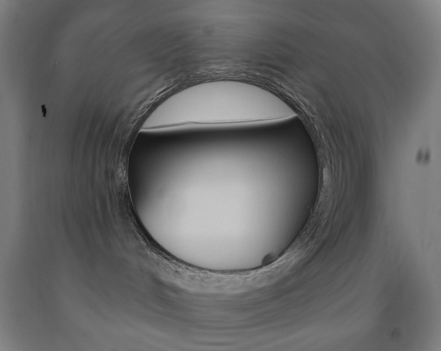 X0000093250048200709261606
