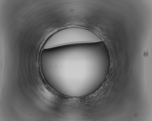 X0000093250050200709261605