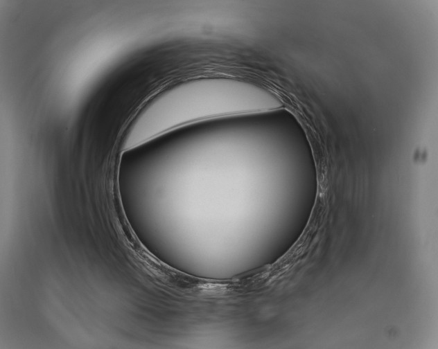 X0000093250052200709261605
