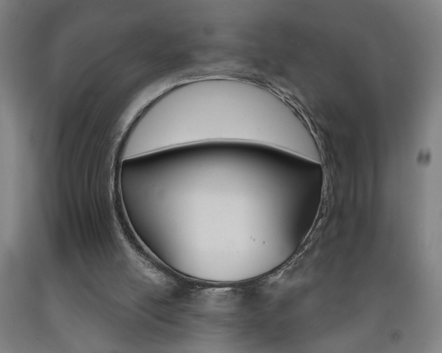 X0000093250054200709261605