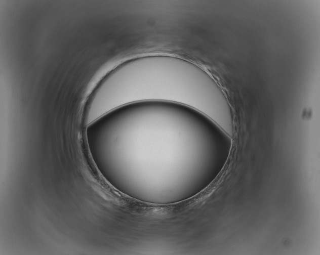 X0000093250056200709261605