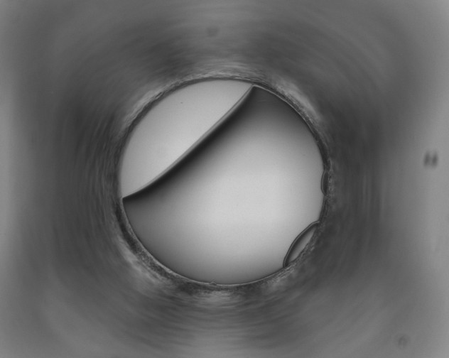 X0000093250058200709261605