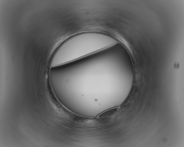 X0000093250059200709261605