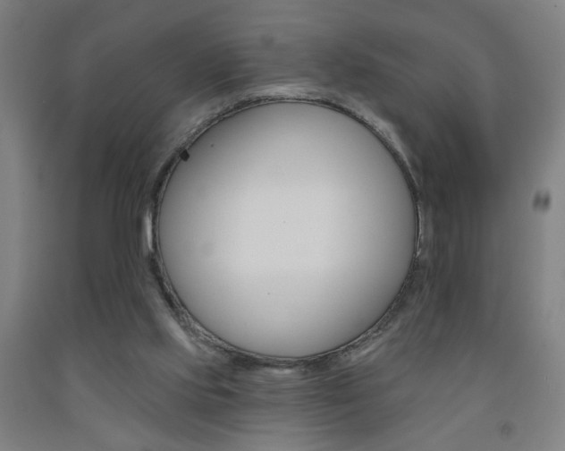 X0000093250061200709261606