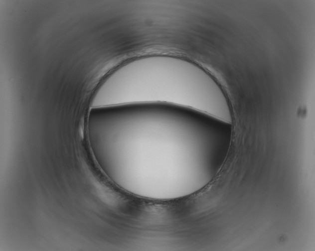 X0000093250062200709261606
