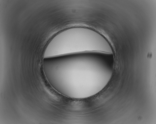 X0000093250063200709261606