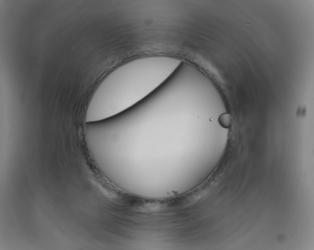 X0000093250065200709261606