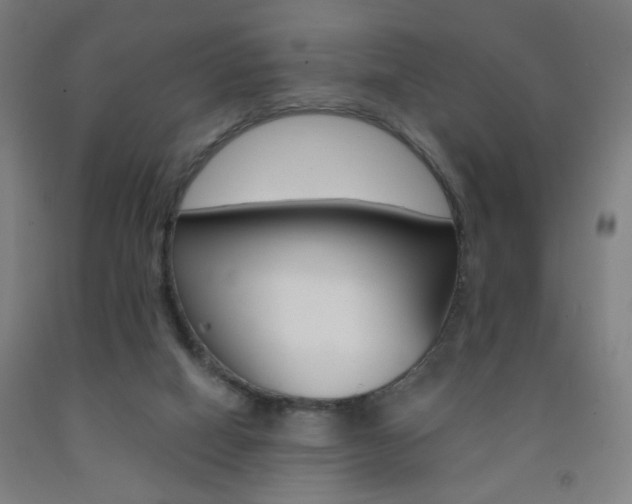 X0000093250066200709261606