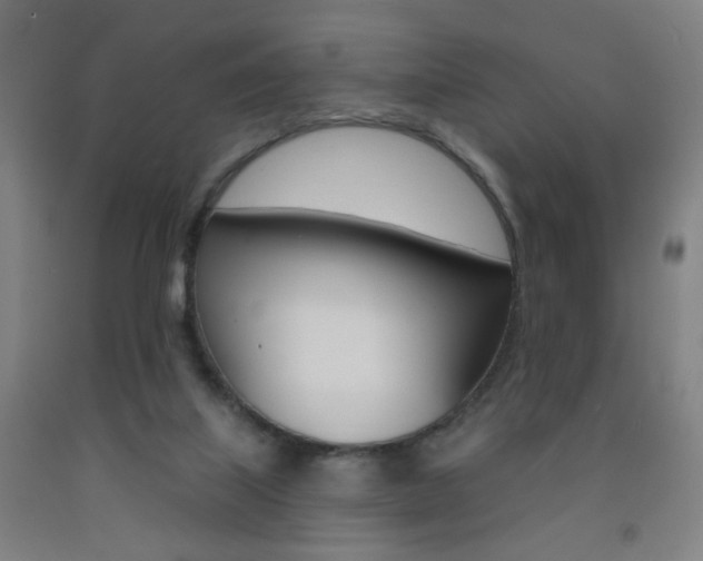 X0000093250067200709261606