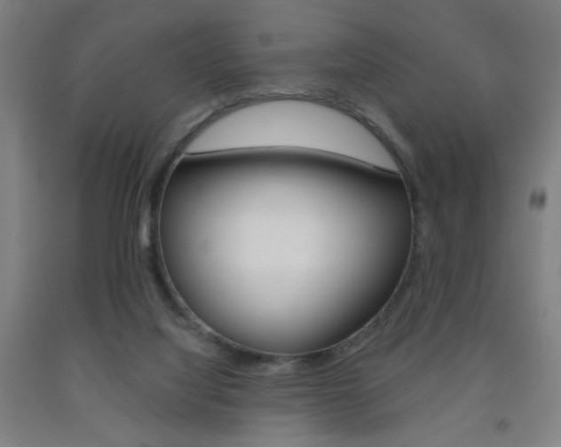 X0000093250068200709261606