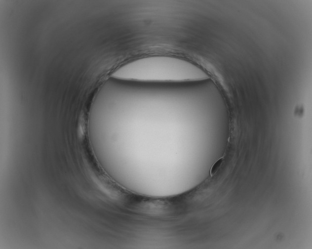 X0000093250069200709261606