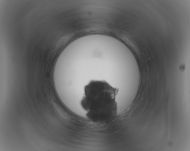 X0000093250070200709261606