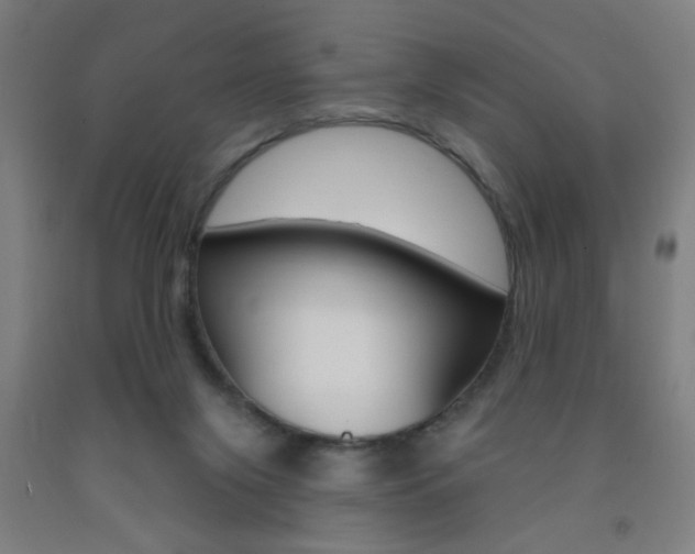 X0000093250071200709261606