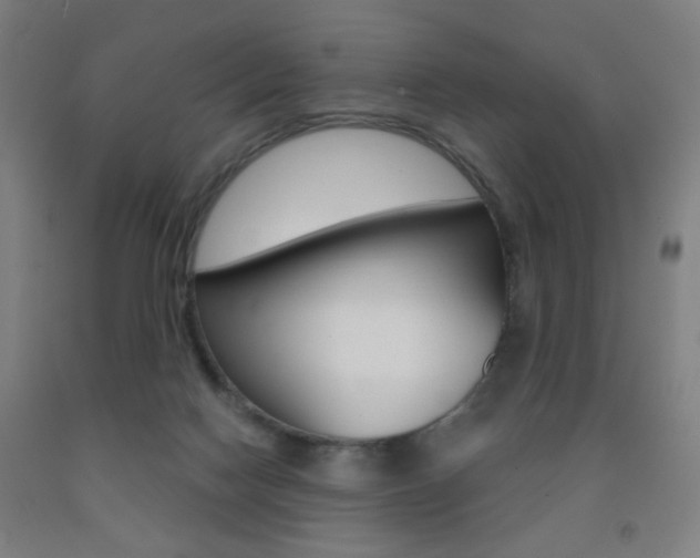 X0000093250074200709261606