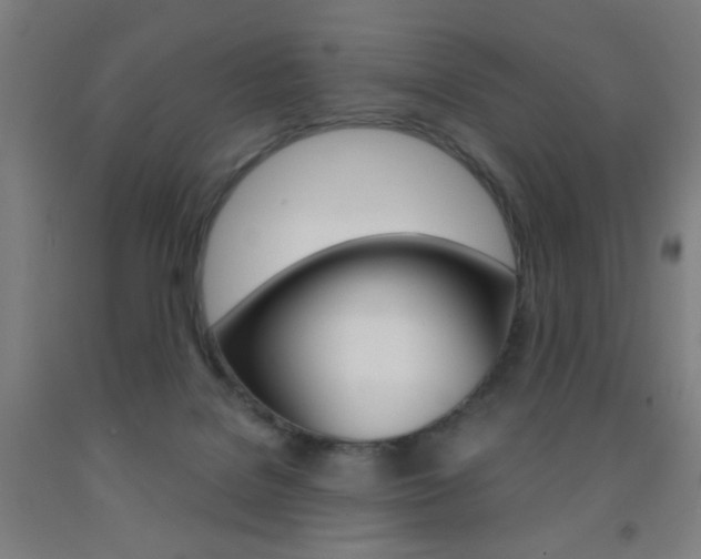 X0000093250076200709261606