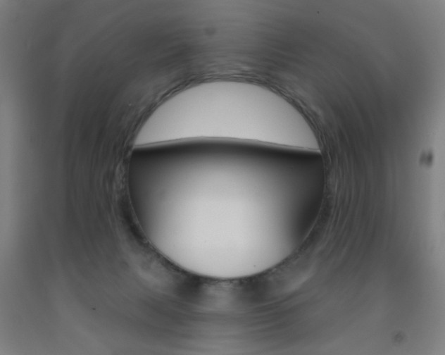 X0000093250079200709261606