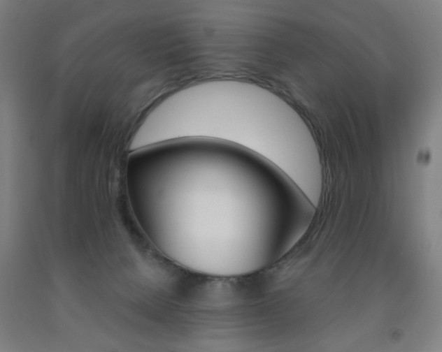 X0000093250080200709261606