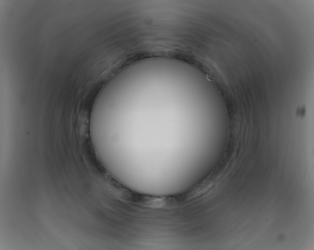 X0000093250083200709261606
