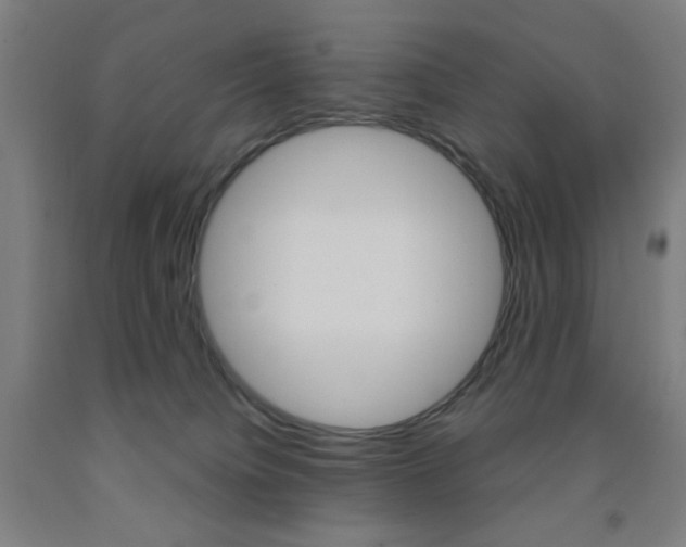 X0000093250084200709261606