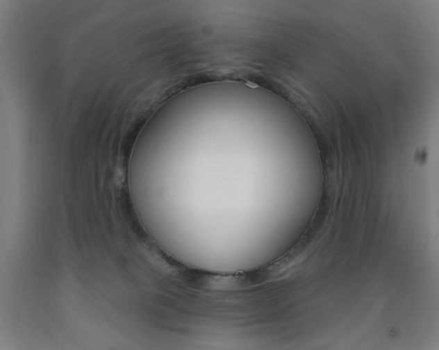 X0000093250085200709261606