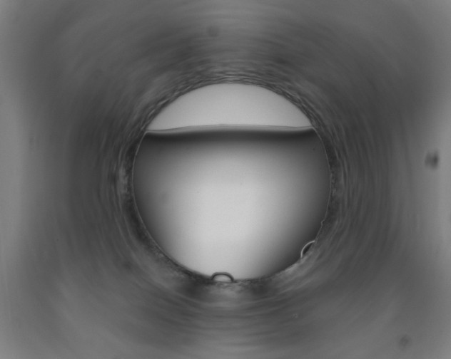 X0000093250086200709261606