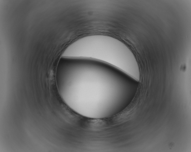 X0000093250087200709261606
