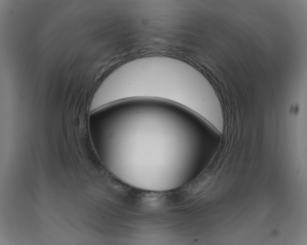 X0000093250088200709261606