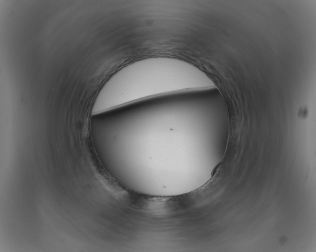 X0000093250090200709261606