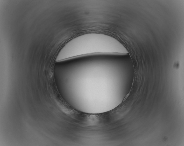 X0000093250091200709261606