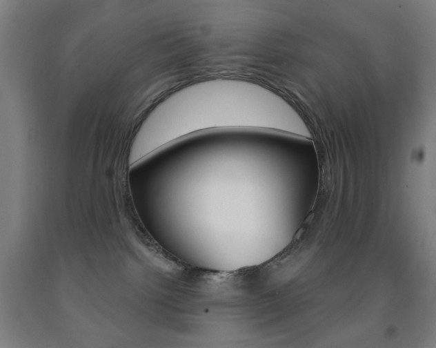 X0000093250092200709261606