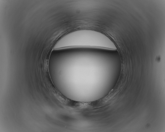 X0000093250093200709261606