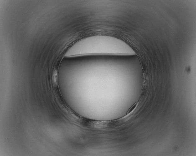 X0000093250094200709261606