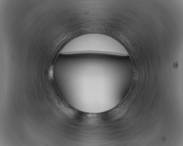 X0000093250095200709261606