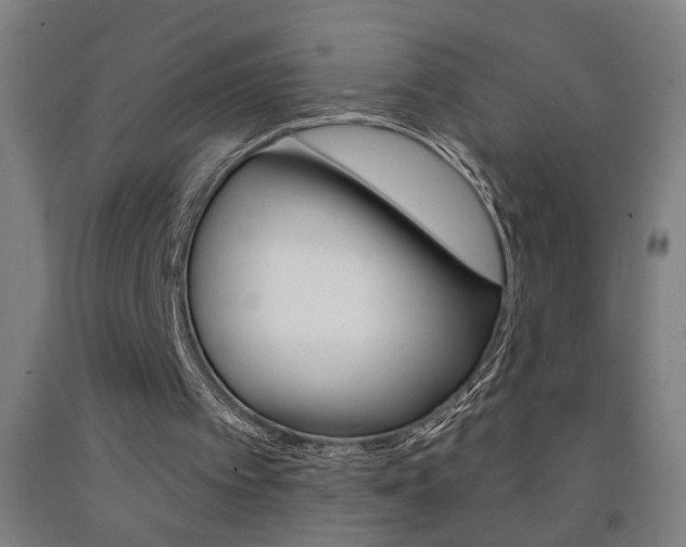 X0000093250097200709261605