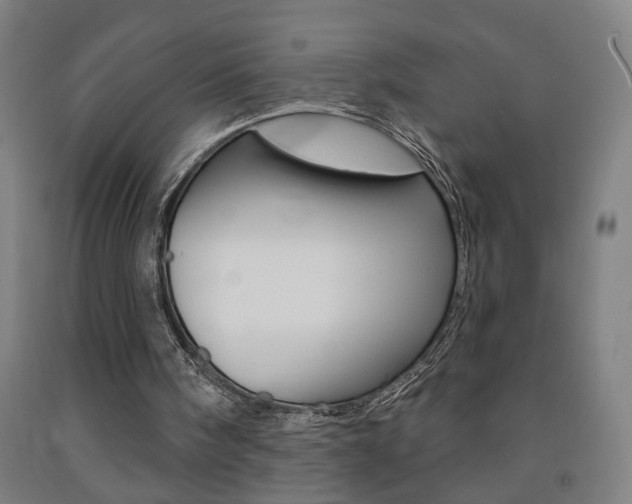 X0000093250098200709261605