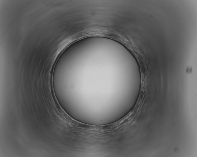 X0000093250099200709261605