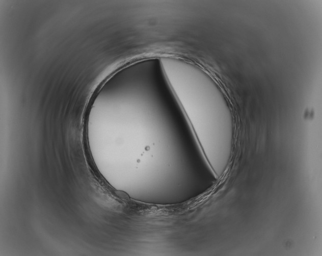 X0000093250100200709261605