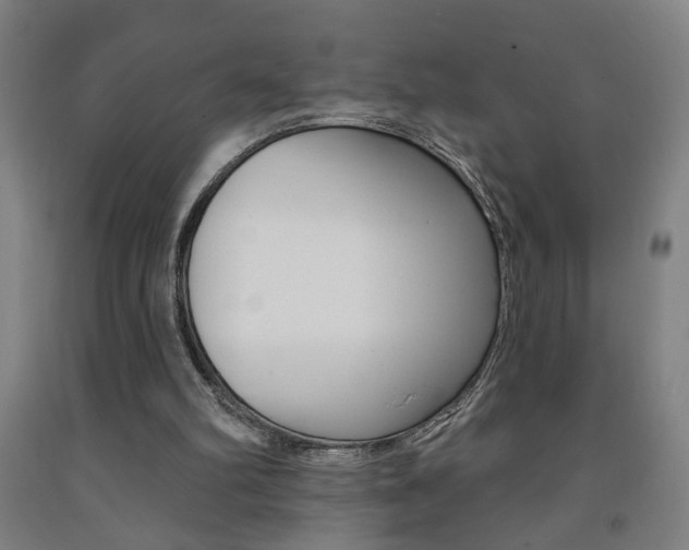 X0000093250102200709261605