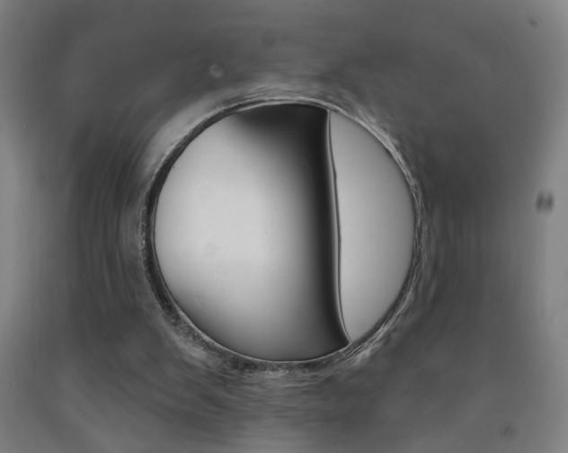 X0000093250103200709261605