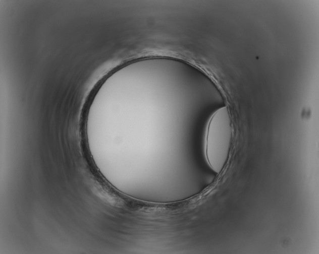 X0000093250104200709261605