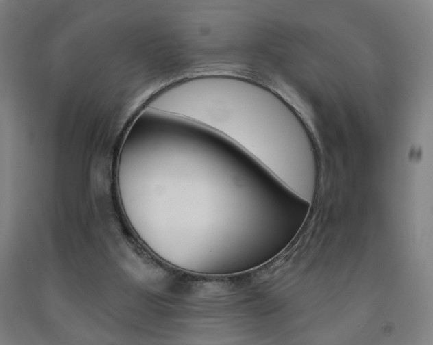 X0000093250107200709261605