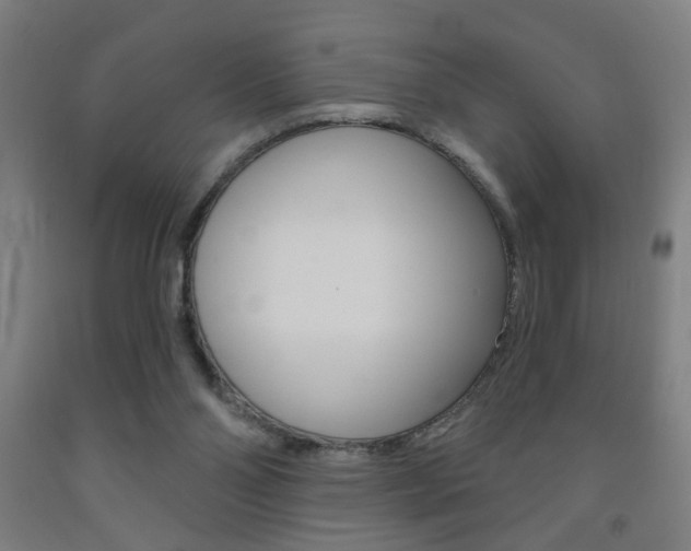 X0000093250110200709261605