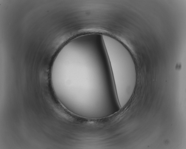X0000093250111200709261605