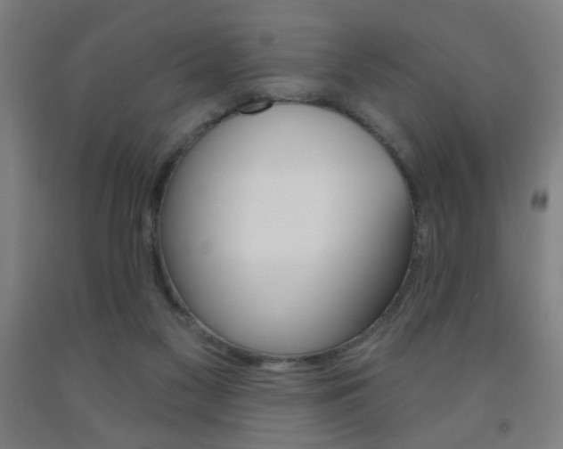 X0000093250117200709261605