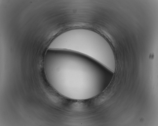 X0000093250119200709261605