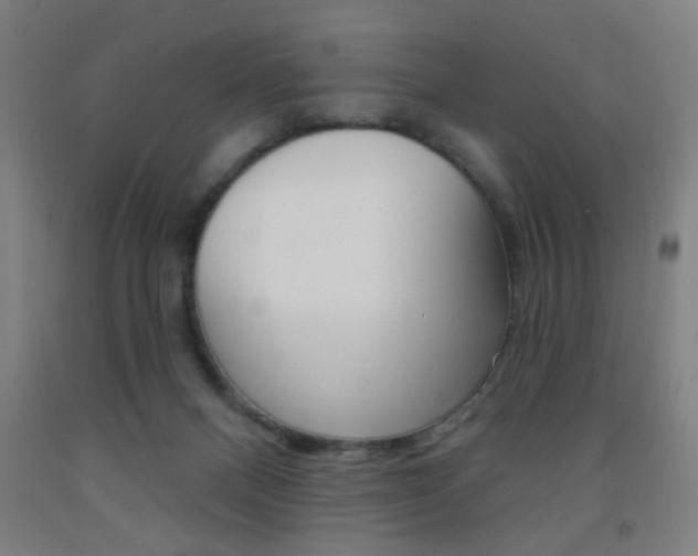 X0000093250120200709261605