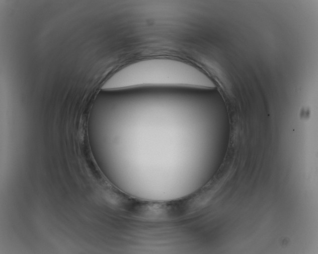 X0000093250121200709261605