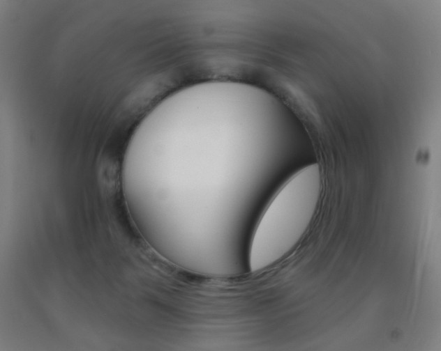 X0000093250123200709261605