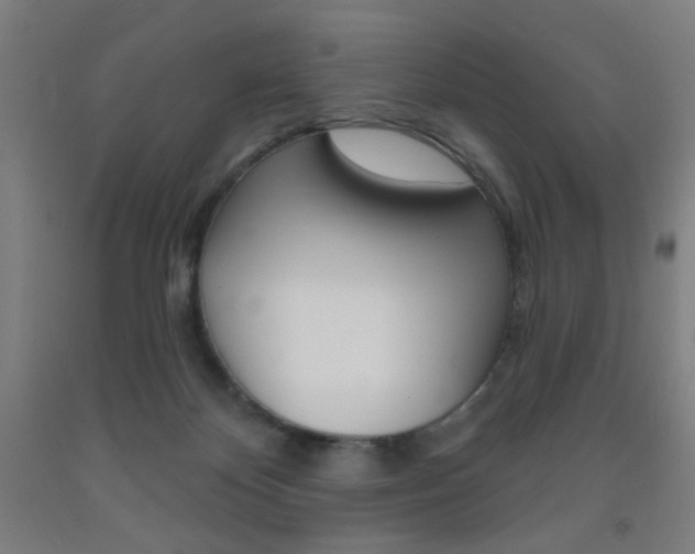 X0000093250124200709261605