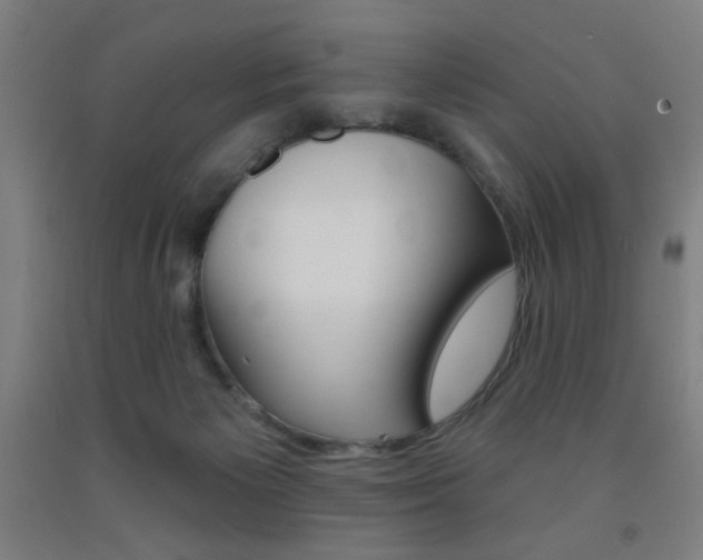 X0000093250125200709261605